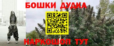 ешки Новокубанск