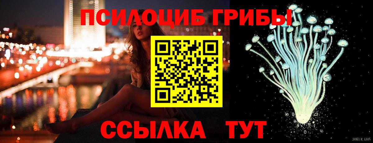 Рузаевка  Псилоцибиновые грибы Cubensis  Вход с VPN  Галлюциногенные грибы ЛСД 