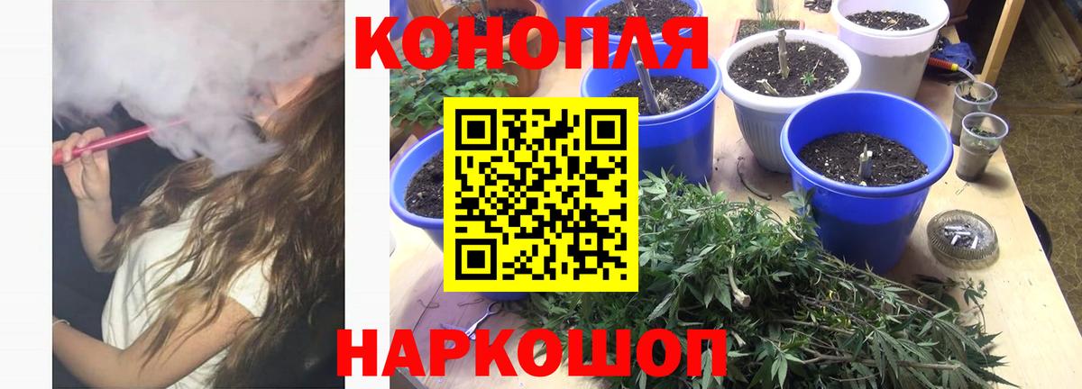 Каннабис конопля Рузаевка